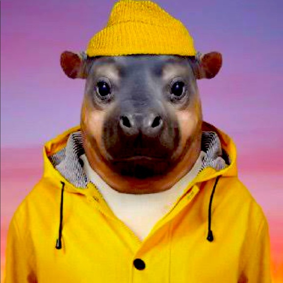 Meet your Posher, Page - Picture 1 of 1